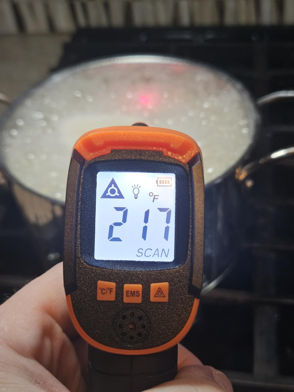 KIZEN thermometer customer review screenshot 6